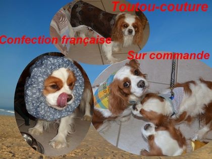 Manteau pour chien discount cavalier king charles